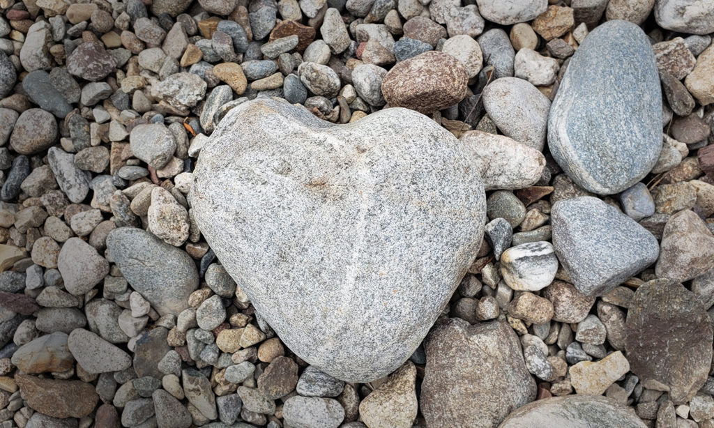 Heart-Centered Success | Humanitou Humanness + Creativity Blog